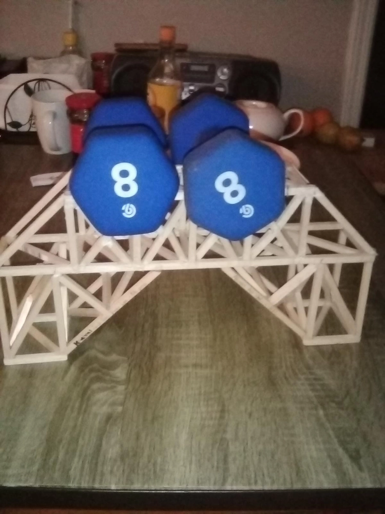 Photo of balsawood bridge supporting 16 lbs.